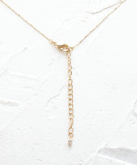 Dried Flower & Birthday Stone Necklace